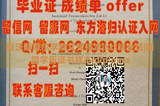 斯沃斯摩尔学院文凭样本|Kcl毕业证|德国学历证书样本|diploma